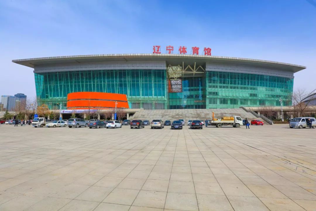 关于沈阳城市建设主场击败对手，积分逐渐攀升的信息