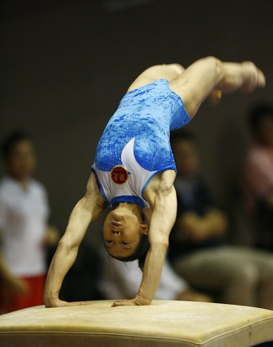 包含跳马项目：选手高难度动作令人称赞的词条